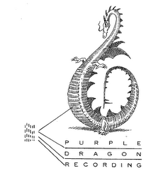 PURPLE DRAGON RECORDING