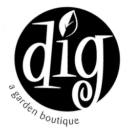 DIG A GARDEN BOUTIQUE