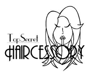 TOP SECRET HAIRCESSORY