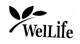 WELLIFE