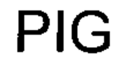 PIG