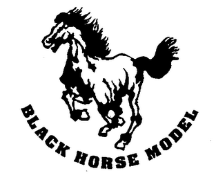 BLACK HORSE MODEL