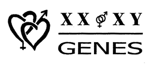 XX XY GENES