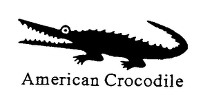 AMERICAN CROCODILE