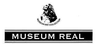 MUSEUM ART COLLECTION MUSEUM REAL