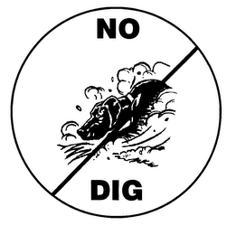 NO DIG