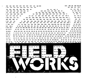 FIELDWORKS