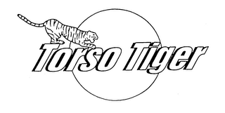 TORSO TIGER