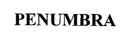 PENUMBRA THEATRE COMPANY, INC.,