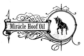 MIRACLE HOOF OIL