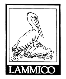 LAMMICO