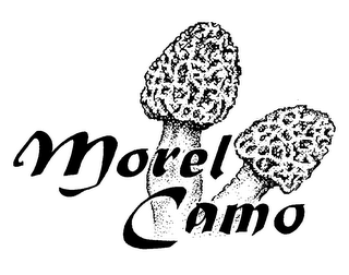 MOREL CAMO