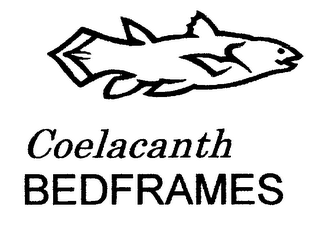 COELACANTH BEDFRAMES