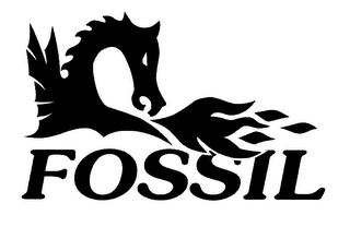 FOSSIL