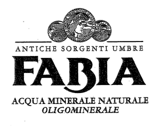 ANTICHE SORGENTI UMBRE FABIA ACQUA MINERALE NATURALE OLIGOMINERALE