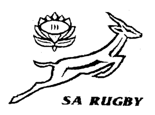 SA RUGBY