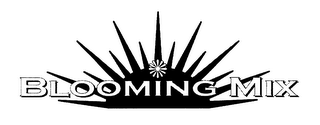 BLOOMING MIX