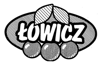 LOWICZ