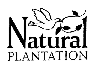 NATURAL PLANTATION