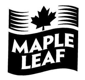 MAPLE LEAF