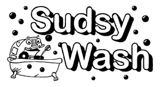 SUDSY WASH