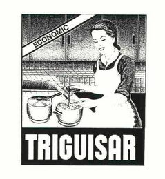 ECONOMIC TRIGUISAR