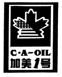 C A-OIL 1