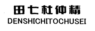 DENSHICHITOCHUSEI