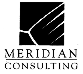 MERIDIAN CONSULTING