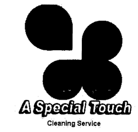 A SPECIAL TOUCH CLEANING SERVICE
