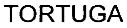 TORTUGA INTERNATIONAL HOLDINGS LIMITED