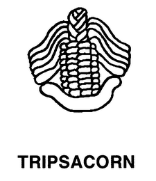 TRIPSACORN