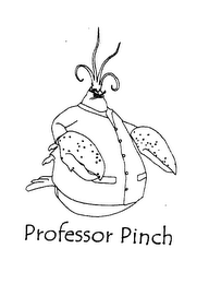 PROFESSOR PINCH