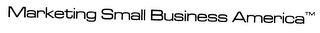 MARKETING SMALL BUSINESS AMERICA