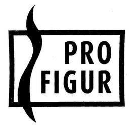 PRO FIGUR