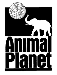 ANIMAL PLANET