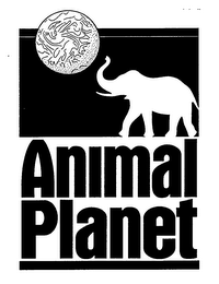 ANIMAL PLANET