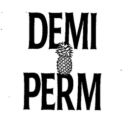 DEMI PERM