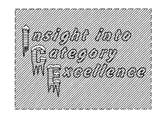ICE INSIGHT INTO CATEGORY EXCELLENCE