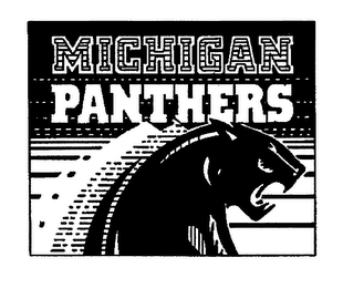 MICHIGAN PANTHERS