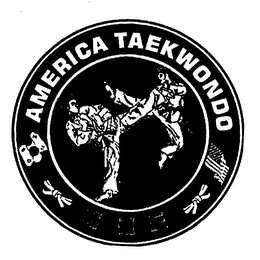 AMERICA TAEKWONDO