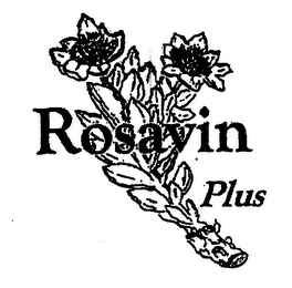 ROSAVIN PLUS