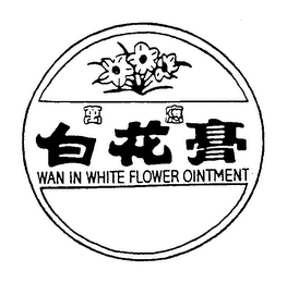 WAN IN WHITE FLOWER OINTMENT