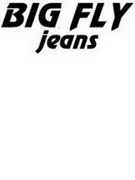 BIG FLY JEANS