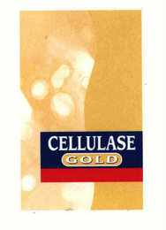 CELLULASE GOLD