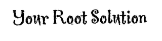 YOUR ROOT SOLUTION