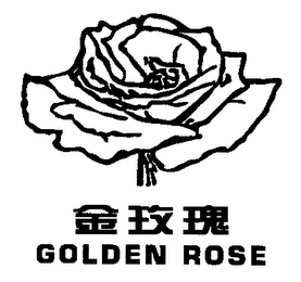 GOLDEN ROSE