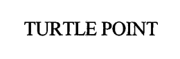 TURTLE POINT