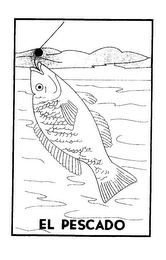 EL PESCADO