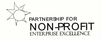 PARTNERSHIP FOR NON-PROFIT ENTERPRISE EXCELLENCE